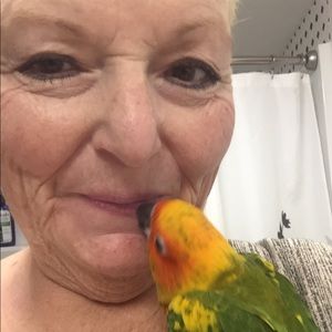 Meet your Posher, Jo